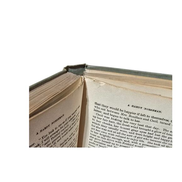 A Hardy Norseman by Edna Lyall - Hurst & Company - Picture 8 of 10